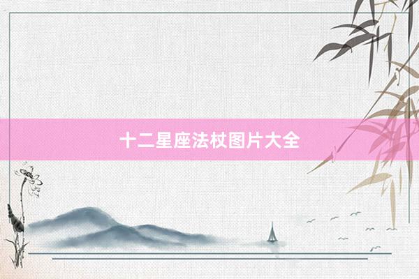 十二星座法杖图片大全